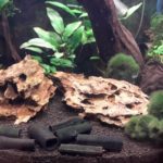 Dennerle Shrimp King Active Soil, 8 л.: Активный грунт-субстрат для пресноводных аквариумов с креветками 81XboL17FLL AquaDeco Shop