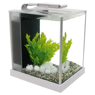 Аквариумный набор Fluval «Spec» белый, прямой (10 л) Аквариумный набор Fluval «Spec» белый, прямой (10 л) в магазине AquaDeco shop