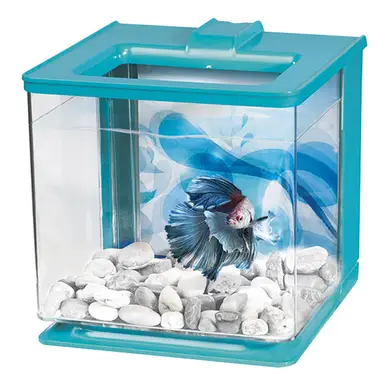 Аквариум Marina «Betta EZ Care» бирюзовый, прямой 16 x 16 x 16 см (2,5 л) Аквариум Marina «Betta EZ Care» бирюзовый, прямой 16 x 16 x 16 см (2,5 л) в магазине AquaDeco shop