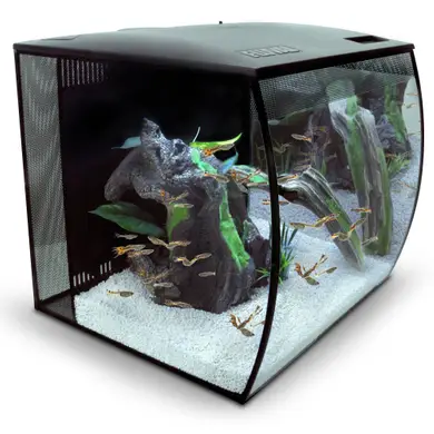 Аквариумный набор Fluval «Flex» чёрный, овальный (57 л) Аквариумный набор Fluval «Flex» чёрный, овальный (57 л) в магазине AquaDeco shop