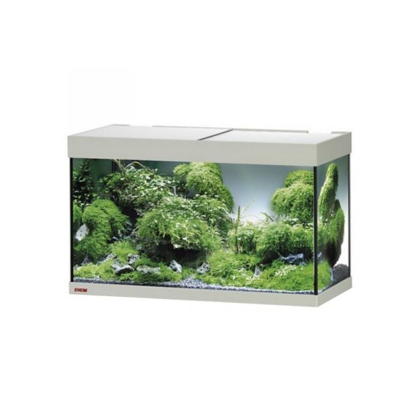 Акваріум Eheim vivaline LED 126 1x13W (LED) сірий дуб без тумби (0613011) | aquadecoshop;Акваріум Eheim vivaline LED 126 1x13W (LED) сірий дуб без тумби (0613011) | aquadecoshop;Акваріум Eheim vivaline LED 126 1x13W (LED) сірий дуб без тумби (0613011) | aquadecoshop;Акваріум Eheim vivaline LED 126 1x13W (LED) сірий дуб без тумби (0613011) | aquadecoshop;Акваріум Eheim vivaline LED 126 1x13W (LED) сірий дуб без тумби (0613011) | aquadecoshop;Акваріум Eheim vivaline LED 126 1x13W (LED) сірий дуб без тумби (0613011) | aquadecoshop;Акваріум Eheim vivaline LED 126 1x13W (LED) сірий дуб без тумби (0613011) | aquadecoshop;Акваріум Eheim vivaline LED 126 1x13W (LED) сірий дуб без тумби (0613011) | aquadecoshop;Акваріум Eheim vivaline LED 126 1x13W (LED) сірий дуб без тумби (0613011) | aquadecoshop;Акваріум Eheim vivaline LED 126 1x13W (LED) сірий дуб без тумби (0613011) | aquadecoshop