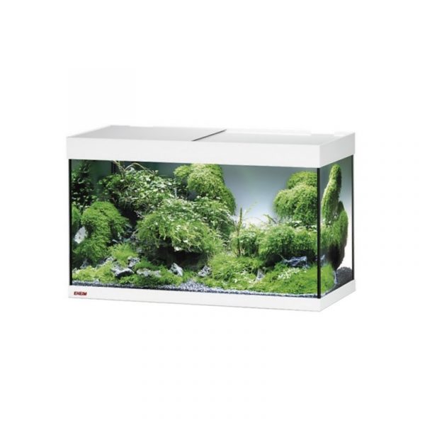 Акваріум Eheim vivaline LED 126 1x13W (LED) білий без тумби (0613013) | aquadecoshop;Акваріум Eheim vivaline LED 126 1x13W (LED) білий без тумби (0613013) | aquadecoshop;Акваріум Eheim vivaline LED 126 1x13W (LED) білий без тумби (0613013) | aquadecoshop;Акваріум Eheim vivaline LED 126 1x13W (LED) білий без тумби (0613013) | aquadecoshop;Акваріум Eheim vivaline LED 126 1x13W (LED) білий без тумби (0613013) | aquadecoshop;Акваріум Eheim vivaline LED 126 1x13W (LED) білий без тумби (0613013) | aquadecoshop;Акваріум Eheim vivaline LED 126 1x13W (LED) білий без тумби (0613013) | aquadecoshop;Акваріум Eheim vivaline LED 126 1x13W (LED) білий без тумби (0613013) | aquadecoshop;Акваріум Eheim vivaline LED 126 1x13W (LED) білий без тумби (0613013) | aquadecoshop;Акваріум Eheim vivaline LED 126 1x13W (LED) білий без тумби (0613013) | aquadecoshop