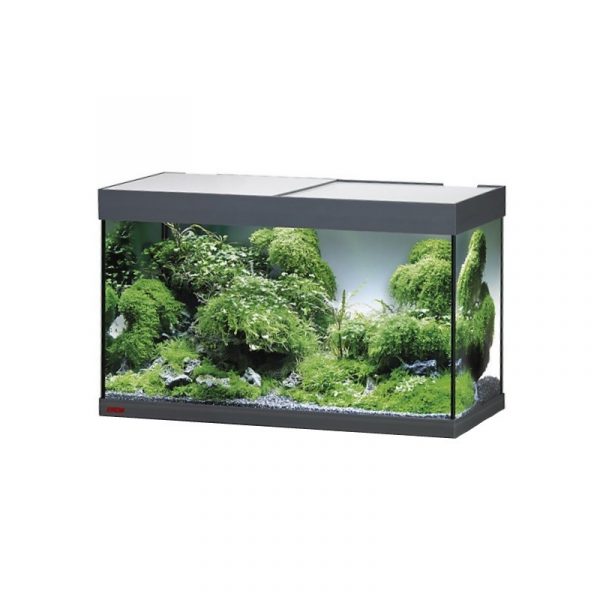 Акваріум Eheim vivaline LED 126 1x13W (LED) антрацитовий без тумби (0613019) | aquadecoshop;Акваріум Eheim vivaline LED 126 1x13W (LED) антрацитовий без тумби (0613019) | aquadecoshop;Акваріум Eheim vivaline LED 126 1x13W (LED) антрацитовий без тумби (0613019) | aquadecoshop;Акваріум Eheim vivaline LED 126 1x13W (LED) антрацитовий без тумби (0613019) | aquadecoshop;Акваріум Eheim vivaline LED 126 1x13W (LED) антрацитовий без тумби (0613019) | aquadecoshop;Акваріум Eheim vivaline LED 126 1x13W (LED) антрацитовий без тумби (0613019) | aquadecoshop;Акваріум Eheim vivaline LED 126 1x13W (LED) антрацитовий без тумби (0613019) | aquadecoshop;Акваріум Eheim vivaline LED 126 1x13W (LED) антрацитовий без тумби (0613019) | aquadecoshop;Акваріум Eheim vivaline LED 126 1x13W (LED) антрацитовий без тумби (0613019) | aquadecoshop;Акваріум Eheim vivaline LED 126 1x13W (LED) антрацитовий без тумби (0613019) | aquadecoshop