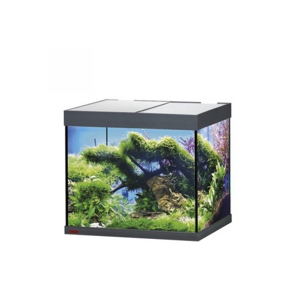 Аквариум Eheim vivaline LED 150 2x12W (LED) антрацытовый без тумбы (0613039) | AquaDeco shop;Аквариум Eheim vivaline LED 150 2x12W (LED) антрацытовый без тумбы (0613039) | AquaDeco shop;Аквариум Eheim vivaline LED 150 2x12W (LED) антрацытовый без тумбы (0613039) | AquaDeco shop;Аквариум Eheim vivaline LED 150 2x12W (LED) антрацытовый без тумбы (0613039) | AquaDeco shop;Аквариум Eheim vivaline LED 150 2x12W (LED) антрацытовый без тумбы (0613039) | AquaDeco shop;Аквариум Eheim vivaline LED 150 2x12W (LED) антрацытовый без тумбы (0613039) | AquaDeco shop;Аквариум Eheim vivaline LED 150 2x12W (LED) антрацытовый без тумбы (0613039) | AquaDeco shop;Аквариум Eheim vivaline LED 150 2x12W (LED) антрацытовый без тумбы (0613039) | AquaDeco shop;Аквариум Eheim vivaline LED 150 2x12W (LED) антрацытовый без тумбы (0613039) | AquaDeco shop;Аквариум Eheim vivaline LED 150 2x12W (LED) антрацытовый без тумбы (0613039) | AquaDeco shop