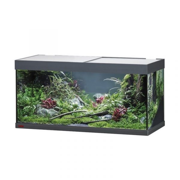 Акваріум Eheim vivaline LED 180 1x17W (LED) антрацитовий без тумби (0613059) | aquadecoshop;Акваріум Eheim vivaline LED 180 1x17W (LED) антрацитовий без тумби (0613059) | aquadecoshop;Акваріум Eheim vivaline LED 180 1x17W (LED) антрацитовий без тумби (0613059) | aquadecoshop;Акваріум Eheim vivaline LED 180 1x17W (LED) антрацитовий без тумби (0613059) | aquadecoshop;Акваріум Eheim vivaline LED 180 1x17W (LED) антрацитовий без тумби (0613059) | aquadecoshop;Акваріум Eheim vivaline LED 180 1x17W (LED) антрацитовий без тумби (0613059) | aquadecoshop;Акваріум Eheim vivaline LED 180 1x17W (LED) антрацитовий без тумби (0613059) | aquadecoshop;Акваріум Eheim vivaline LED 180 1x17W (LED) антрацитовий без тумби (0613059) | aquadecoshop;Акваріум Eheim vivaline LED 180 1x17W (LED) антрацитовий без тумби (0613059) | aquadecoshop;Акваріум Eheim vivaline LED 180 1x17W (LED) антрацитовий без тумби (0613059) | aquadecoshop