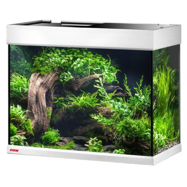 Аквариум Eheim proxima 175 classicLED + крышка без тумбы (0602700) | aquadecoshop;Аквариум Eheim proxima 175 classicLED + крышка без тумбы (0602700) | aquadecoshop;Аквариум Eheim proxima 175 classicLED + крышка без тумбы (0602700) | aquadecoshop;Аквариум Eheim proxima 175 classicLED + крышка без тумбы (0602700) | aquadecoshop;Аквариум Eheim proxima 175 classicLED + крышка без тумбы (0602700) | aquadecoshop;Аквариум Eheim proxima 175 classicLED + крышка без тумбы (0602700) | aquadecoshop;Аквариум Eheim proxima 175 classicLED + крышка без тумбы (0602700) | aquadecoshop;Аквариум Eheim proxima 175 classicLED + крышка без тумбы (0602700) | aquadecoshop;Аквариум Eheim proxima 175 classicLED + крышка без тумбы (0602700) | aquadecoshop;Аквариум Eheim proxima 175 classicLED + крышка без тумбы (0602700) | aquadecoshop