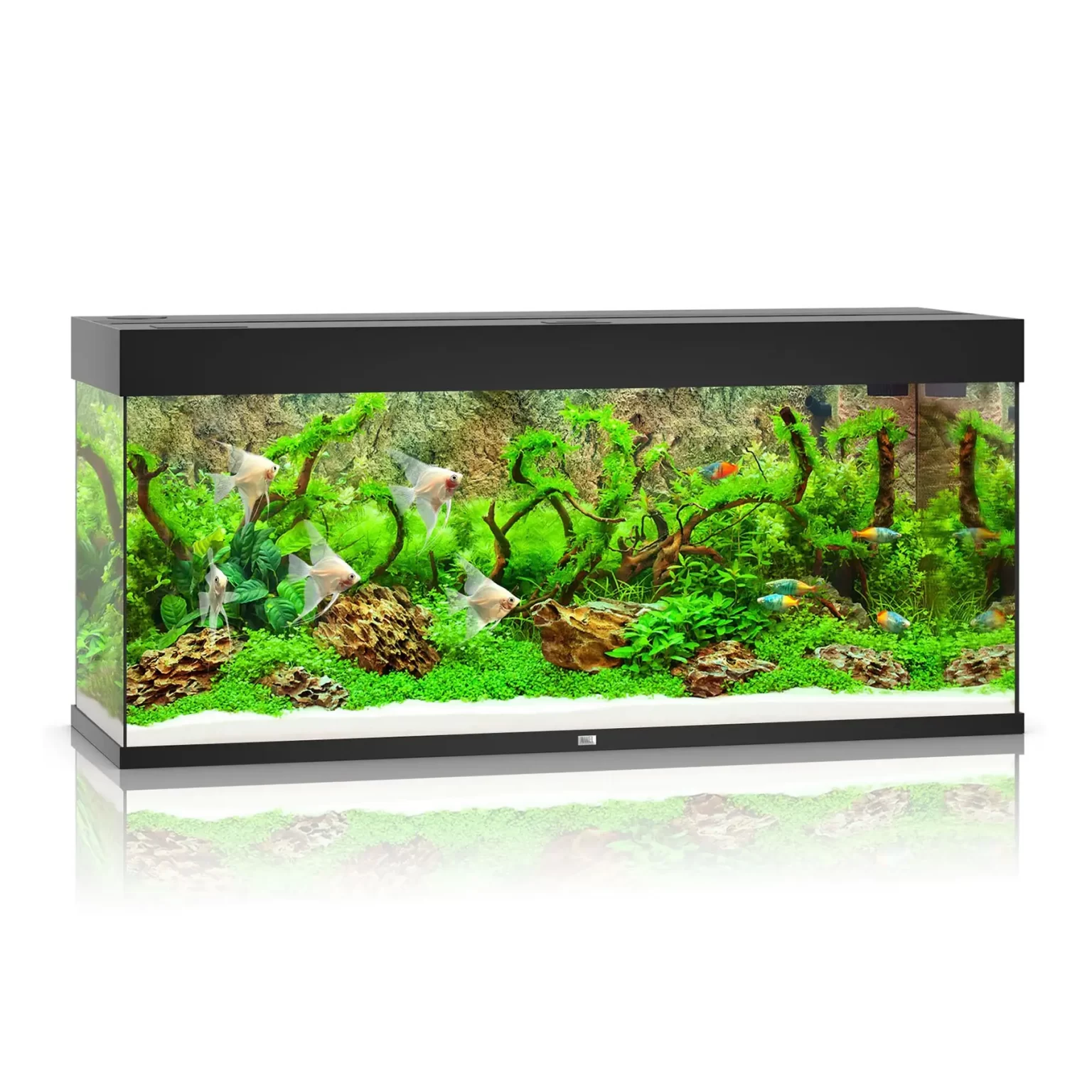 Аквариумный набор Juwel «Rio 240 LED» чёрный, прямой (240 л) арт. 3350 /3300 | AquaDeco shop