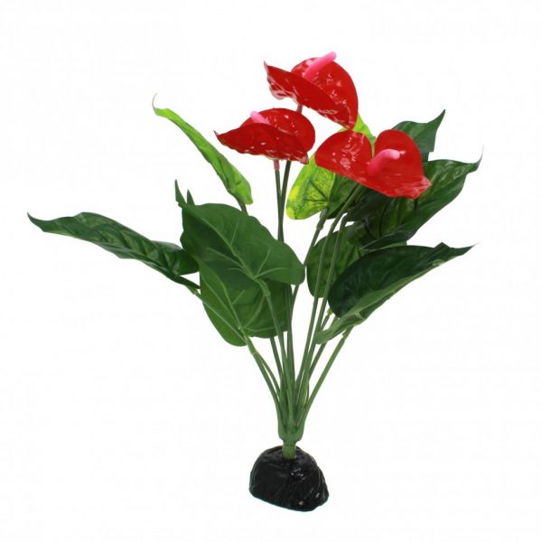 Искусственное растение Repti-Zoo Anthurium 33см (TP013) | AquaDeco shop;Искусственное растение Repti-Zoo Anthurium 33см (TP013) | AquaDeco shop;Искусственное растение Repti-Zoo Anthurium 33см (TP013) | AquaDeco shop;Искусственное растение Repti-Zoo Anthurium 33см (TP013) | AquaDeco shop;Искусственное растение Repti-Zoo Anthurium 33см (TP013) | AquaDeco shop;Искусственное растение Repti-Zoo Anthurium 33см (TP013) | AquaDeco shop;Искусственное растение Repti-Zoo Anthurium 33см (TP013) | AquaDeco shop;Искусственное растение Repti-Zoo Anthurium 33см (TP013) | AquaDeco shop;Искусственное растение Repti-Zoo Anthurium 33см (TP013) | AquaDeco shop;Искусственное растение Repti-Zoo Anthurium 33см (TP013) | AquaDeco shop