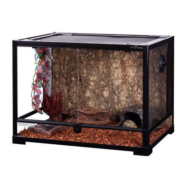 Террариум Repti-Zoo 60x45x45см (RK0107) | AquaDeco shop;Террариум Repti-Zoo 60x45x45см (RK0107) | AquaDeco shop;Террариум Repti-Zoo 60x45x45см (RK0107) | AquaDeco shop;Террариум Repti-Zoo 60x45x45см (RK0107) | AquaDeco shop;Террариум Repti-Zoo 60x45x45см (RK0107) | AquaDeco shop;Террариум Repti-Zoo 60x45x45см (RK0107) | AquaDeco shop;Террариум Repti-Zoo 60x45x45см (RK0107) | AquaDeco shop;Террариум Repti-Zoo 60x45x45см (RK0107) | AquaDeco shop;Террариум Repti-Zoo 60x45x45см (RK0107) | AquaDeco shop;Террариум Repti-Zoo 60x45x45см (RK0107) | AquaDeco shop