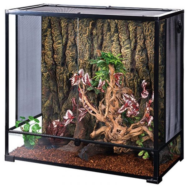 Террариум Repti-Zoo 90x45x90см (RK0125N) | AquaDeco shop;Террариум Repti-Zoo 90x45x90см (RK0125N) | AquaDeco shop;Террариум Repti-Zoo 90x45x90см (RK0125N) | AquaDeco shop;Террариум Repti-Zoo 90x45x90см (RK0125N) | AquaDeco shop;Террариум Repti-Zoo 90x45x90см (RK0125N) | AquaDeco shop;Террариум Repti-Zoo 90x45x90см (RK0125N) | AquaDeco shop;Террариум Repti-Zoo 90x45x90см (RK0125N) | AquaDeco shop;Террариум Repti-Zoo 90x45x90см (RK0125N) | AquaDeco shop;Террариум Repti-Zoo 90x45x90см (RK0125N) | AquaDeco shop;Террариум Repti-Zoo 90x45x90см (RK0125N) | AquaDeco shop