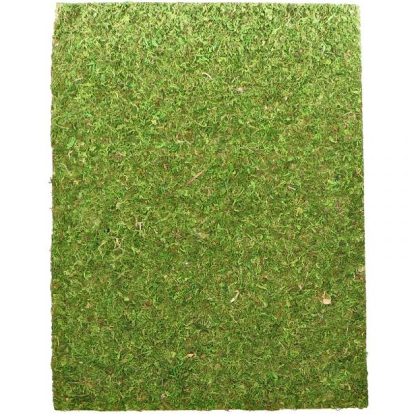 Фон моховый Repti-Zoo Natural Moss Back & Bottom 20x30см 2шт. (NCM3020) | AquaDeco shop;Фон моховый Repti-Zoo Natural Moss Back & Bottom 20x30см 2шт. (NCM3020) | AquaDeco shop;Фон моховый Repti-Zoo Natural Moss Back & Bottom 20x30см 2шт. (NCM3020) | AquaDeco shop;Фон моховый Repti-Zoo Natural Moss Back & Bottom 20x30см 2шт. (NCM3020) | AquaDeco shop;Фон моховый Repti-Zoo Natural Moss Back & Bottom 20x30см 2шт. (NCM3020) | AquaDeco shop;Фон моховый Repti-Zoo Natural Moss Back & Bottom 20x30см 2шт. (NCM3020) | AquaDeco shop;Фон моховый Repti-Zoo Natural Moss Back & Bottom 20x30см 2шт. (NCM3020) | AquaDeco shop;Фон моховый Repti-Zoo Natural Moss Back & Bottom 20x30см 2шт. (NCM3020) | AquaDeco shop;Фон моховый Repti-Zoo Natural Moss Back & Bottom 20x30см 2шт. (NCM3020) | AquaDeco shop;Фон моховый Repti-Zoo Natural Moss Back & Bottom 20x30см 2шт. (NCM3020) | AquaDeco shop