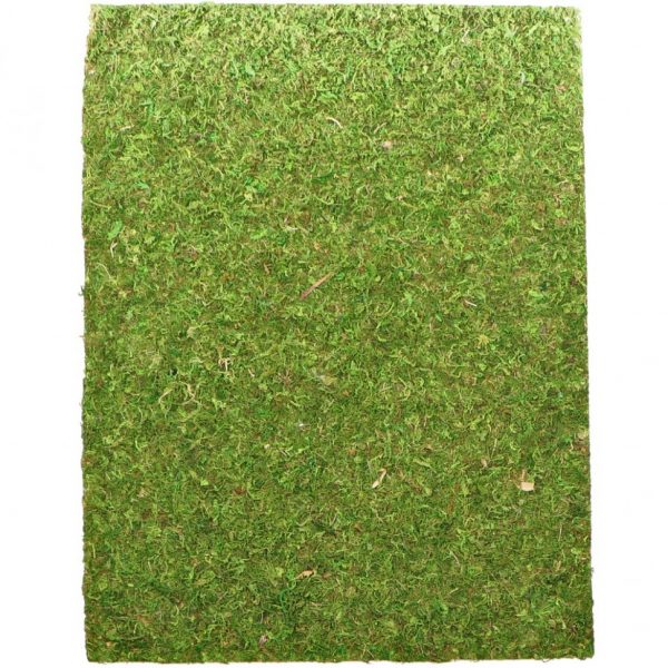 Фон моховый Repti-Zoo Natural Moss Back & Bottom 60x45см 2шт. (NCM6045) | AquaDeco shop;Фон моховый Repti-Zoo Natural Moss Back & Bottom 60x45см 2шт. (NCM6045) | AquaDeco shop;Фон моховый Repti-Zoo Natural Moss Back & Bottom 60x45см 2шт. (NCM6045) | AquaDeco shop;Фон моховый Repti-Zoo Natural Moss Back & Bottom 60x45см 2шт. (NCM6045) | AquaDeco shop;Фон моховый Repti-Zoo Natural Moss Back & Bottom 60x45см 2шт. (NCM6045) | AquaDeco shop;Фон моховый Repti-Zoo Natural Moss Back & Bottom 60x45см 2шт. (NCM6045) | AquaDeco shop;Фон моховый Repti-Zoo Natural Moss Back & Bottom 60x45см 2шт. (NCM6045) | AquaDeco shop;Фон моховый Repti-Zoo Natural Moss Back & Bottom 60x45см 2шт. (NCM6045) | AquaDeco shop;Фон моховый Repti-Zoo Natural Moss Back & Bottom 60x45см 2шт. (NCM6045) | AquaDeco shop;Фон моховый Repti-Zoo Natural Moss Back & Bottom 60x45см 2шт. (NCM6045) | AquaDeco shop