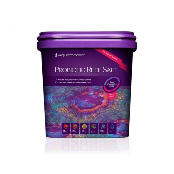 Соль рифовая с пробиотиками Aquaforest Probiotic Reef Salt 5кг (730013) | aquadecoshop;Соль рифовая с пробиотиками Aquaforest Probiotic Reef Salt 5кг (730013) | aquadecoshop;Соль рифовая с пробиотиками Aquaforest Probiotic Reef Salt 5кг (730013) | aquadecoshop;Соль рифовая с пробиотиками Aquaforest Probiotic Reef Salt 5кг (730013) | aquadecoshop;Соль рифовая с пробиотиками Aquaforest Probiotic Reef Salt 5кг (730013) | aquadecoshop;Соль рифовая с пробиотиками Aquaforest Probiotic Reef Salt 5кг (730013) | aquadecoshop;Соль рифовая с пробиотиками Aquaforest Probiotic Reef Salt 5кг (730013) | aquadecoshop;Соль рифовая с пробиотиками Aquaforest Probiotic Reef Salt 5кг (730013) | aquadecoshop;Соль рифовая с пробиотиками Aquaforest Probiotic Reef Salt 5кг (730013) | aquadecoshop;Соль рифовая с пробиотиками Aquaforest Probiotic Reef Salt 5кг (730013) | aquadecoshop