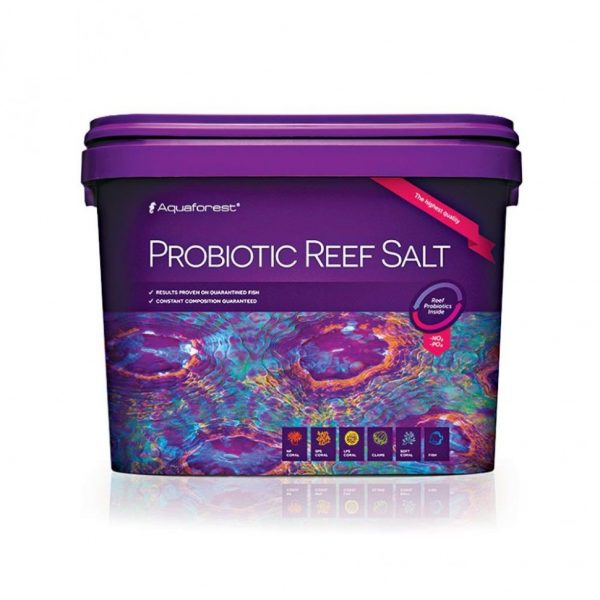 Соль рифовая с пробиотиками Aquaforest Probiotic Reef Salt 10кг (730037) | aquadecoshop;Соль рифовая с пробиотиками Aquaforest Probiotic Reef Salt 10кг (730037) | aquadecoshop;Соль рифовая с пробиотиками Aquaforest Probiotic Reef Salt 10кг (730037) | aquadecoshop;Соль рифовая с пробиотиками Aquaforest Probiotic Reef Salt 10кг (730037) | aquadecoshop;Соль рифовая с пробиотиками Aquaforest Probiotic Reef Salt 10кг (730037) | aquadecoshop;Соль рифовая с пробиотиками Aquaforest Probiotic Reef Salt 10кг (730037) | aquadecoshop;Соль рифовая с пробиотиками Aquaforest Probiotic Reef Salt 10кг (730037) | aquadecoshop;Соль рифовая с пробиотиками Aquaforest Probiotic Reef Salt 10кг (730037) | aquadecoshop;Соль рифовая с пробиотиками Aquaforest Probiotic Reef Salt 10кг (730037) | aquadecoshop;Соль рифовая с пробиотиками Aquaforest Probiotic Reef Salt 10кг (730037) | aquadecoshop