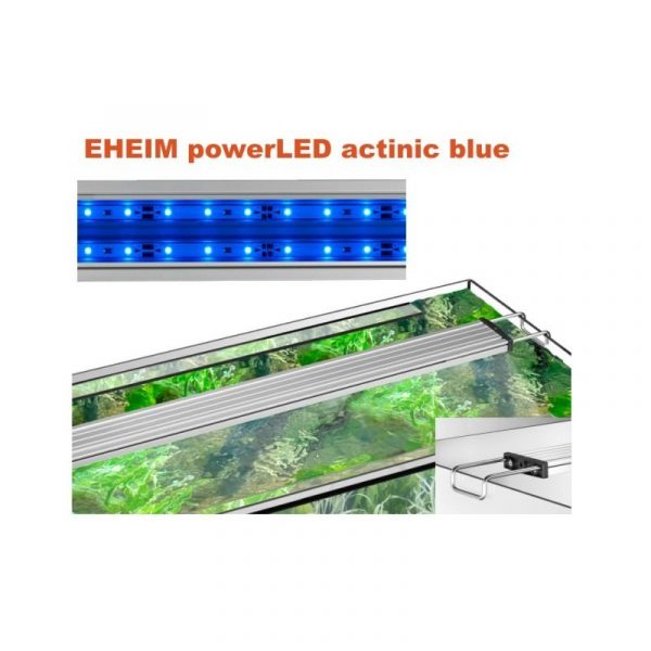 Світильник для морських акваріумів Eheim powerLED actinic blue 24ват 784-938мм (4224040) | aquadecoshop;Світильник для морських акваріумів Eheim powerLED actinic blue 24ват 784-938мм (4224040) | aquadecoshop;Світильник для морських акваріумів Eheim powerLED actinic blue 24ват 784-938мм (4224040) | aquadecoshop;Світильник для морських акваріумів Eheim powerLED actinic blue 24ват 784-938мм (4224040) | aquadecoshop;Світильник для морських акваріумів Eheim powerLED actinic blue 24ват 784-938мм (4224040) | aquadecoshop;Світильник для морських акваріумів Eheim powerLED actinic blue 24ват 784-938мм (4224040) | aquadecoshop;Світильник для морських акваріумів Eheim powerLED actinic blue 24ват 784-938мм (4224040) | aquadecoshop;Світильник для морських акваріумів Eheim powerLED actinic blue 24ват 784-938мм (4224040) | aquadecoshop;Світильник для морських акваріумів Eheim powerLED actinic blue 24ват 784-938мм (4224040) | aquadecoshop;Світильник для морських акваріумів Eheim powerLED actinic blue 24ват 784-938мм (4224040) | aquadecoshop