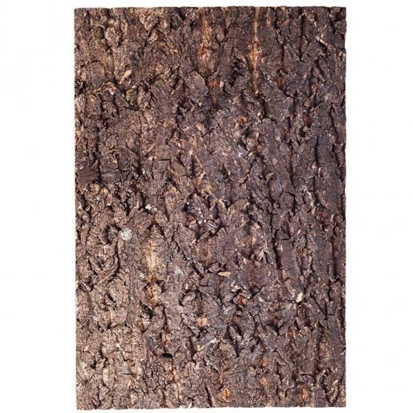 Фон из коры для террариума Repti-Zoo Big Tree Background 30x45 (NCT02) | AquaDeco shop;Фон из коры для террариума Repti-Zoo Big Tree Background 30x45 (NCT02) | AquaDeco shop;Фон из коры для террариума Repti-Zoo Big Tree Background 30x45 (NCT02) | AquaDeco shop;Фон из коры для террариума Repti-Zoo Big Tree Background 30x45 (NCT02) | AquaDeco shop;Фон из коры для террариума Repti-Zoo Big Tree Background 30x45 (NCT02) | AquaDeco shop;Фон из коры для террариума Repti-Zoo Big Tree Background 30x45 (NCT02) | AquaDeco shop;Фон из коры для террариума Repti-Zoo Big Tree Background 30x45 (NCT02) | AquaDeco shop;Фон из коры для террариума Repti-Zoo Big Tree Background 30x45 (NCT02) | AquaDeco shop;Фон из коры для террариума Repti-Zoo Big Tree Background 30x45 (NCT02) | AquaDeco shop;Фон из коры для террариума Repti-Zoo Big Tree Background 30x45 (NCT02) | AquaDeco shop