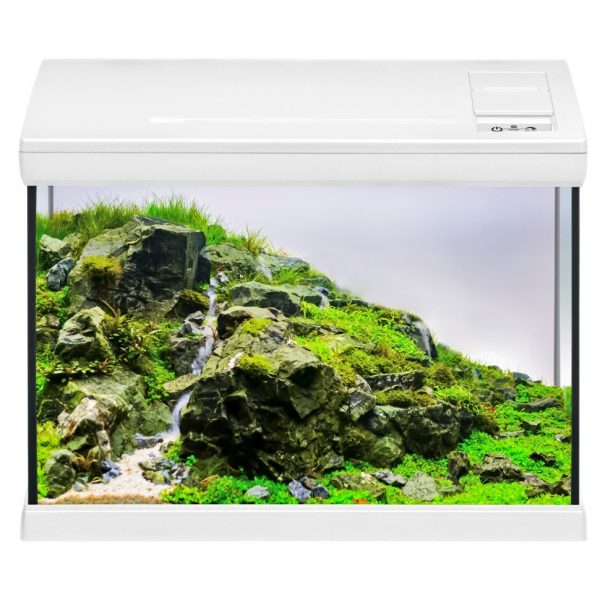 Аквариумный комплект белый Eheim aquaclass 30 (0340714) | AquaDeco shop;Аквариумный комплект белый Eheim aquaclass 30 (0340714) | AquaDeco shop;Аквариумный комплект белый Eheim aquaclass 30 (0340714) | AquaDeco shop;Аквариумный комплект белый Eheim aquaclass 30 (0340714) | AquaDeco shop;Аквариумный комплект белый Eheim aquaclass 30 (0340714) | AquaDeco shop;Аквариумный комплект белый Eheim aquaclass 30 (0340714) | AquaDeco shop;Аквариумный комплект белый Eheim aquaclass 30 (0340714) | AquaDeco shop;Аквариумный комплект белый Eheim aquaclass 30 (0340714) | AquaDeco shop;Аквариумный комплект белый Eheim aquaclass 30 (0340714) | AquaDeco shop;Аквариумный комплект белый Eheim aquaclass 30 (0340714) | AquaDeco shop