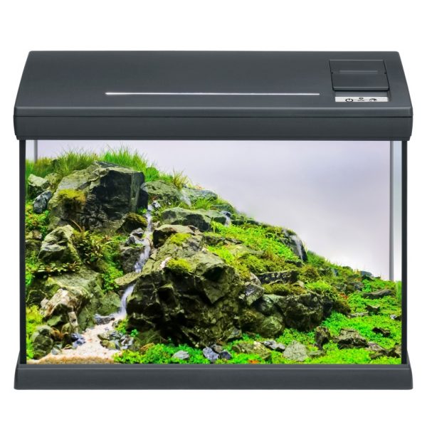 Аквариумный комплект черный Eheim aquaclass 30 (0340709) | AquaDeco shop;Аквариумный комплект черный Eheim aquaclass 30 (0340709) | AquaDeco shop;Аквариумный комплект черный Eheim aquaclass 30 (0340709) | AquaDeco shop;Аквариумный комплект черный Eheim aquaclass 30 (0340709) | AquaDeco shop;Аквариумный комплект черный Eheim aquaclass 30 (0340709) | AquaDeco shop;Аквариумный комплект черный Eheim aquaclass 30 (0340709) | AquaDeco shop;Аквариумный комплект черный Eheim aquaclass 30 (0340709) | AquaDeco shop;Аквариумный комплект черный Eheim aquaclass 30 (0340709) | AquaDeco shop;Аквариумный комплект черный Eheim aquaclass 30 (0340709) | AquaDeco shop;Аквариумный комплект черный Eheim aquaclass 30 (0340709) | AquaDeco shop