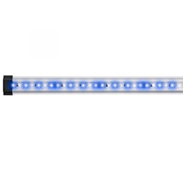 Светильник Eheim classicLED 7.7W hybrid 30см. для aquastar 63 marin (0585127) | AquaDeco shop;Светильник Eheim classicLED 7.7W hybrid 30см. для aquastar 63 marin (0585127) | AquaDeco shop;Светильник Eheim classicLED 7.7W hybrid 30см. для aquastar 63 marin (0585127) | AquaDeco shop;Светильник Eheim classicLED 7.7W hybrid 30см. для aquastar 63 marin (0585127) | AquaDeco shop;Светильник Eheim classicLED 7.7W hybrid 30см. для aquastar 63 marin (0585127) | AquaDeco shop;Светильник Eheim classicLED 7.7W hybrid 30см. для aquastar 63 marin (0585127) | AquaDeco shop;Светильник Eheim classicLED 7.7W hybrid 30см. для aquastar 63 marin (0585127) | AquaDeco shop;Светильник Eheim classicLED 7.7W hybrid 30см. для aquastar 63 marin (0585127) | AquaDeco shop;Светильник Eheim classicLED 7.7W hybrid 30см. для aquastar 63 marin (0585127) | AquaDeco shop;Светильник Eheim classicLED 7.7W hybrid 30см. для aquastar 63 marin (0585127) | AquaDeco shop