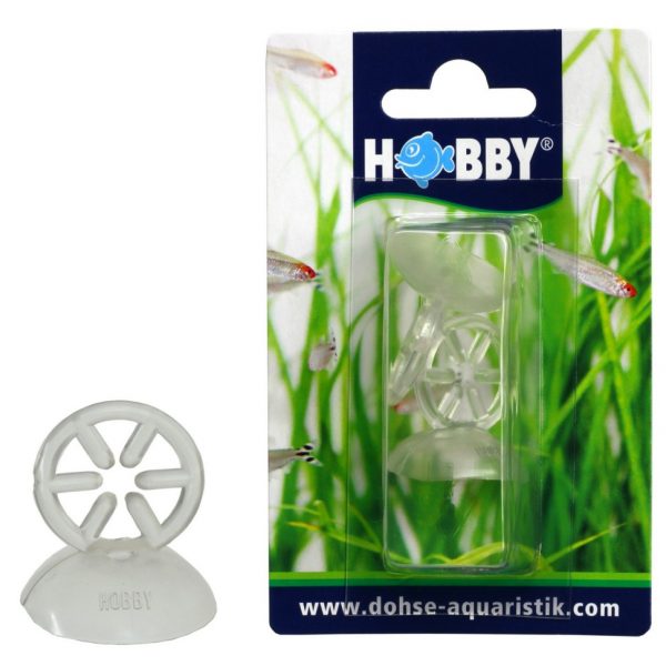 Присоска Hobby Star Sucker 12/16мм 2шт. (62201) | AquaDeco shop;Присоска Hobby Star Sucker 12/16мм 2шт. (62201) | AquaDeco shop;Присоска Hobby Star Sucker 12/16мм 2шт. (62201) | AquaDeco shop;Присоска Hobby Star Sucker 12/16мм 2шт. (62201) | AquaDeco shop;Присоска Hobby Star Sucker 12/16мм 2шт. (62201) | AquaDeco shop;Присоска Hobby Star Sucker 12/16мм 2шт. (62201) | AquaDeco shop;Присоска Hobby Star Sucker 12/16мм 2шт. (62201) | AquaDeco shop;Присоска Hobby Star Sucker 12/16мм 2шт. (62201) | AquaDeco shop;Присоска Hobby Star Sucker 12/16мм 2шт. (62201) | AquaDeco shop;Присоска Hobby Star Sucker 12/16мм 2шт. (62201) | AquaDeco shop