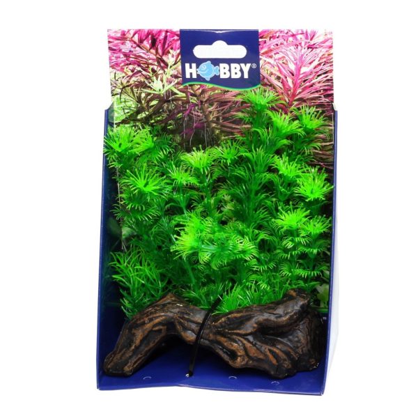 Штучна рослина Hobby Flora Root 3 S 17см (51597)