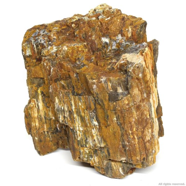 Декоративный природный камень Hobby Petrified Wood L 2.2-4кг (40688) | AquaDeco shop;Декоративный природный камень Hobby Petrified Wood L 2.2-4кг (40688) | AquaDeco shop;Декоративный природный камень Hobby Petrified Wood L 2.2-4кг (40688) | AquaDeco shop;Декоративный природный камень Hobby Petrified Wood L 2.2-4кг (40688) | AquaDeco shop;Декоративный природный камень Hobby Petrified Wood L 2.2-4кг (40688) | AquaDeco shop;Декоративный природный камень Hobby Petrified Wood L 2.2-4кг (40688) | AquaDeco shop;Декоративный природный камень Hobby Petrified Wood L 2.2-4кг (40688) | AquaDeco shop;Декоративный природный камень Hobby Petrified Wood L 2.2-4кг (40688) | AquaDeco shop;Декоративный природный камень Hobby Petrified Wood L 2.2-4кг (40688) | AquaDeco shop;Декоративный природный камень Hobby Petrified Wood L 2.2-4кг (40688) | AquaDeco shop