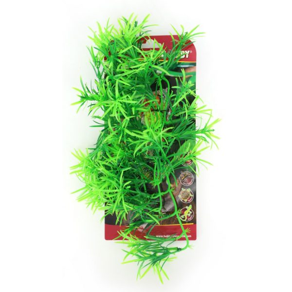 Искусственное растение Hobby Climber Tropica 37см (37011) | AquaDeco shop;Искусственное растение Hobby Climber Tropica 37см (37011) | AquaDeco shop;Искусственное растение Hobby Climber Tropica 37см (37011) | AquaDeco shop;Искусственное растение Hobby Climber Tropica 37см (37011) | AquaDeco shop;Искусственное растение Hobby Climber Tropica 37см (37011) | AquaDeco shop;Искусственное растение Hobby Climber Tropica 37см (37011) | AquaDeco shop;Искусственное растение Hobby Climber Tropica 37см (37011) | AquaDeco shop;Искусственное растение Hobby Climber Tropica 37см (37011) | AquaDeco shop;Искусственное растение Hobby Climber Tropica 37см (37011) | AquaDeco shop;Искусственное растение Hobby Climber Tropica 37см (37011) | AquaDeco shop