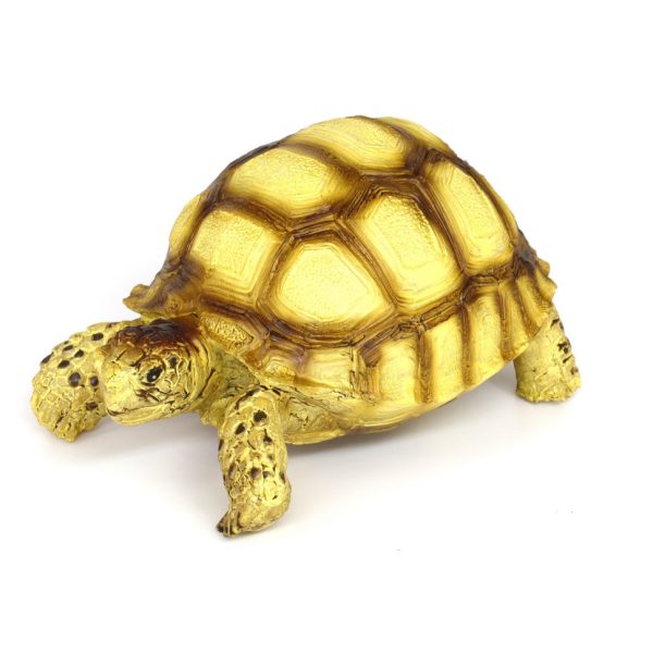 Декорация декоративная черепаха Hobby Turtle 2 10x6x5см (36352) | AquaDeco shop;Декорация декоративная черепаха Hobby Turtle 2 10x6x5см (36352) | AquaDeco shop;Декорация декоративная черепаха Hobby Turtle 2 10x6x5см (36352) | AquaDeco shop;Декорация декоративная черепаха Hobby Turtle 2 10x6x5см (36352) | AquaDeco shop;Декорация декоративная черепаха Hobby Turtle 2 10x6x5см (36352) | AquaDeco shop;Декорация декоративная черепаха Hobby Turtle 2 10x6x5см (36352) | AquaDeco shop;Декорация декоративная черепаха Hobby Turtle 2 10x6x5см (36352) | AquaDeco shop;Декорация декоративная черепаха Hobby Turtle 2 10x6x5см (36352) | AquaDeco shop;Декорация декоративная черепаха Hobby Turtle 2 10x6x5см (36352) | AquaDeco shop;Декорация декоративная черепаха Hobby Turtle 2 10x6x5см (36352) | AquaDeco shop