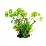 Купить Искусственное растение Repti-Zoo Pilea TP011 в Киеве с доставкой по Украине