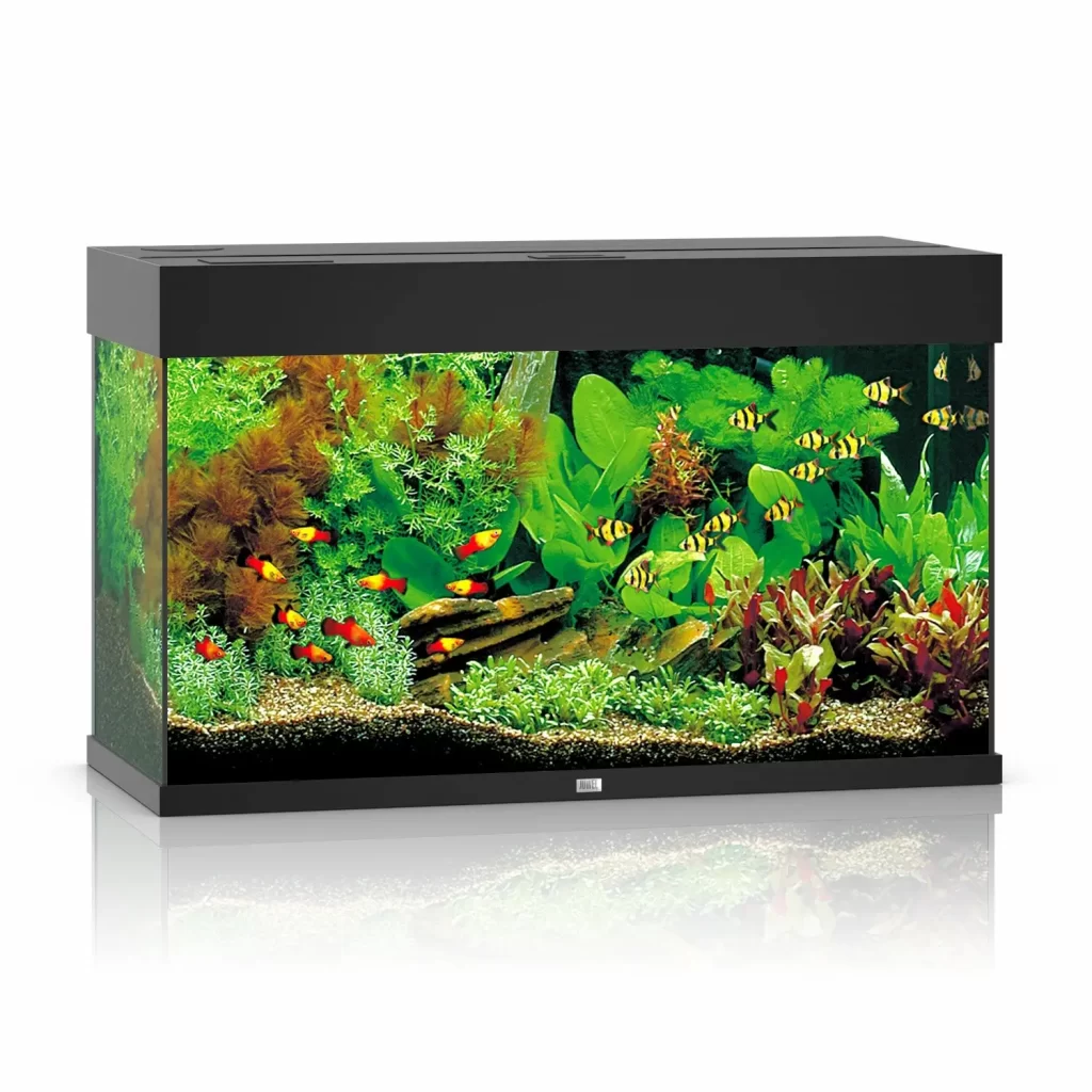 Аквариумный набор Juwel «Rio 125 LED» чёрный, прямой (125 л) арт. 1350/1300 | AquaDeco shop