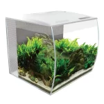 Аквариумный набор Fluval «Flex» белый, овальный (34 л) арт. 15005 | AquaDeco shop