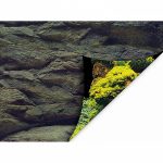 Аквариумный задний фон Aqua Nova Скалы/Растения 60x30см (ROCK/PLANTS S) 2527.970 AquaDeco Shop