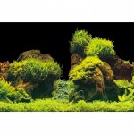 Акваріумний задній фон Aqua Nova Скали/Рослини 60x30см (ROCK/PLANTS S) 2528.970 AquaDeco Shop