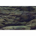 Акваріумний задній фон Aqua Nova Скали/Рослини 60x30см (ROCK/PLANTS S) 2529.970 AquaDeco Shop