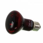 Інфрачервона нагрівальна лампа Repti-Zoo Infrared Heat 35W (R63035) 3200.970 AquaDeco Shop