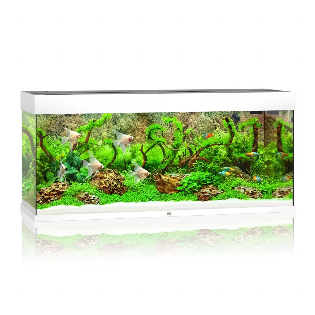 Аквариумный набор Juwel «Rio 240 LED» белый, прямой (240 л) арт. 3450/3400 | AquaDeco shop