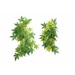 Искусственное растение Repti-Zoo Velvetleaf (TP003) 3662.970 AquaDeco Shop