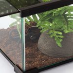 Тераріум Repti-Zoo AK02BG 21x21x20см (RZ-AK02BG) 3823.970 AquaDeco Shop