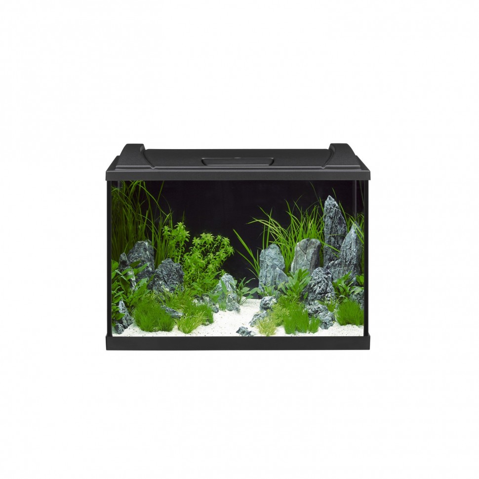 Акваріумний комплект Eheim aquaproLED 84 чорний (0340698) | aquadecoshop;Акваріумний комплект Eheim aquaproLED 84 чорний (0340698) | aquadecoshop;Акваріумний комплект Eheim aquaproLED 84 чорний (0340698) | aquadecoshop;Акваріумний комплект Eheim aquaproLED 84 чорний (0340698) | aquadecoshop;Акваріумний комплект Eheim aquaproLED 84 чорний (0340698) | aquadecoshop;Акваріумний комплект Eheim aquaproLED 84 чорний (0340698) | aquadecoshop;Акваріумний комплект Eheim aquaproLED 84 чорний (0340698) | aquadecoshop;Акваріумний комплект Eheim aquaproLED 84 чорний (0340698) | aquadecoshop;Акваріумний комплект Eheim aquaproLED 84 чорний (0340698) | aquadecoshop;Акваріумний комплект Eheim aquaproLED 84 чорний (0340698) | aquadecoshop