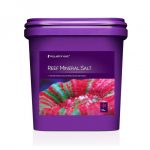 Соль не содержащая (NaCl) хлорид натрия Aquaforest Reef Mineral Salt 5кг (730310) | AquaDeco shop;Соль не содержащая (NaCl) хлорид натрия Aquaforest Reef Mineral Salt 5кг (730310) | AquaDeco shop;Соль не содержащая (NaCl) хлорид натрия Aquaforest Reef Mineral Salt 5кг (730310) | AquaDeco shop;Соль не содержащая (NaCl) хлорид натрия Aquaforest Reef Mineral Salt 5кг (730310) | AquaDeco shop;Соль не содержащая (NaCl) хлорид натрия Aquaforest Reef Mineral Salt 5кг (730310) | AquaDeco shop;Соль не содержащая (NaCl) хлорид натрия Aquaforest Reef Mineral Salt 5кг (730310) | AquaDeco shop;Соль не содержащая (NaCl) хлорид натрия Aquaforest Reef Mineral Salt 5кг (730310) | AquaDeco shop;Соль не содержащая (NaCl) хлорид натрия Aquaforest Reef Mineral Salt 5кг (730310) | AquaDeco shop;Соль не содержащая (NaCl) хлорид натрия Aquaforest Reef Mineral Salt 5кг (730310) | AquaDeco shop;Соль не содержащая (NaCl) хлорид натрия Aquaforest Reef Mineral Salt 5кг (730310) | AquaDeco shop