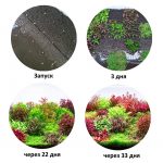 Грунт для акваріума Aquario Neo Soil Plant 8л (neo-soil-plant-8) 7287.970 AquaDeco Shop