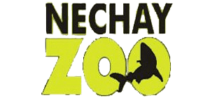 nechay zoo