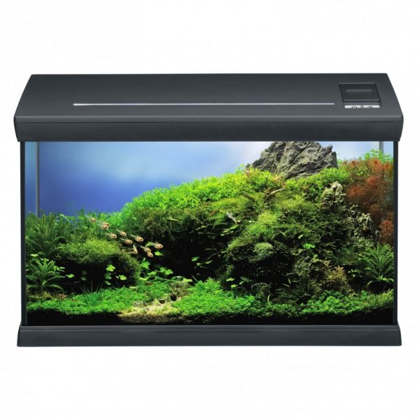 Аквариумный комплект черный Eheim aquaclass 66 (0340710) | AquaDeco shop;Аквариумный комплект черный Eheim aquaclass 66 (0340710) | AquaDeco shop;Аквариумный комплект черный Eheim aquaclass 66 (0340710) | AquaDeco shop;Аквариумный комплект черный Eheim aquaclass 66 (0340710) | AquaDeco shop;Аквариумный комплект черный Eheim aquaclass 66 (0340710) | AquaDeco shop;Аквариумный комплект черный Eheim aquaclass 66 (0340710) | AquaDeco shop;Аквариумный комплект черный Eheim aquaclass 66 (0340710) | AquaDeco shop;Аквариумный комплект черный Eheim aquaclass 66 (0340710) | AquaDeco shop;Аквариумный комплект черный Eheim aquaclass 66 (0340710) | AquaDeco shop;Аквариумный комплект черный Eheim aquaclass 66 (0340710) | AquaDeco shop