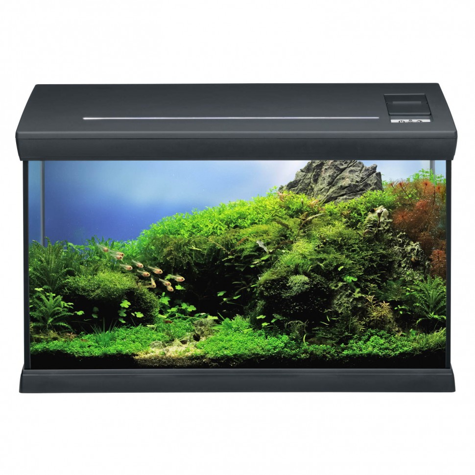 Аквариумный комплект черный Eheim aquaclass 66 (0340710) | AquaDeco shop;Аквариумный комплект черный Eheim aquaclass 66 (0340710) | AquaDeco shop;Аквариумный комплект черный Eheim aquaclass 66 (0340710) | AquaDeco shop;Аквариумный комплект черный Eheim aquaclass 66 (0340710) | AquaDeco shop;Аквариумный комплект черный Eheim aquaclass 66 (0340710) | AquaDeco shop;Аквариумный комплект черный Eheim aquaclass 66 (0340710) | AquaDeco shop;Аквариумный комплект черный Eheim aquaclass 66 (0340710) | AquaDeco shop;Аквариумный комплект черный Eheim aquaclass 66 (0340710) | AquaDeco shop;Аквариумный комплект черный Eheim aquaclass 66 (0340710) | AquaDeco shop;Аквариумный комплект черный Eheim aquaclass 66 (0340710) | AquaDeco shop