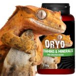 Вітаміни для війкового гекона бананаїда Terrario ORYO for Crested Gecko 150г 8461.970 AquaDeco Shop