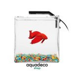 Главная 2025 bettaaquarium 150x1501 1 AquaDeco Shop