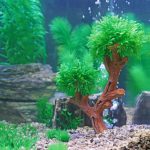 Декорація дерево Hobby Aqua Tree 2 12x6x21см (41547) 9338.970 AquaDeco Shop