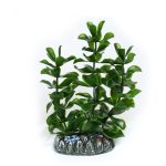 Искусственное растение Hobby Bacopa 13см (51556) 10726.970 AquaDeco Shop