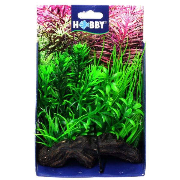 Штучна рослина Hobby Flora Root 2 S 17см (51595)