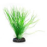 Штучна рослина Hobby Sagittaria 20см (41502)